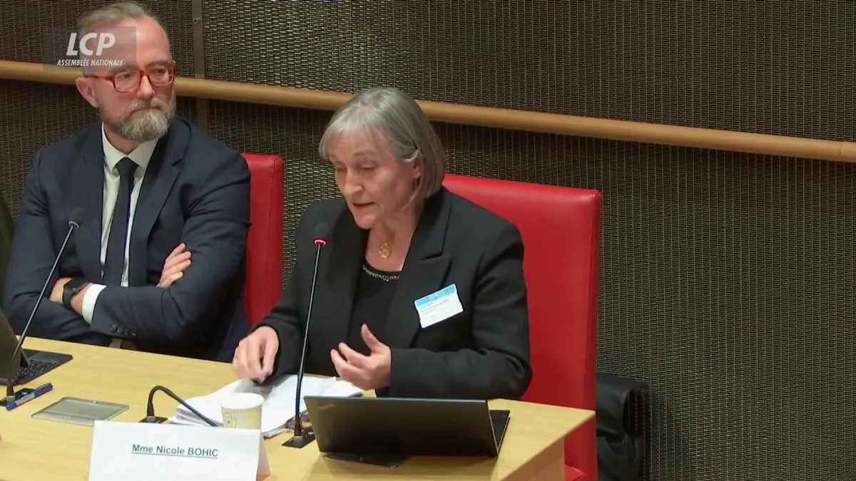 replay de Commission d'enquête sur les crèches : manque de professionnels