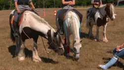 Au galop ! Compétition à Firfol !