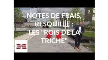 Complément d'enquête. Notes de frais, resquille : les "rois de la triche" - 18 avril 2019 (France 2)