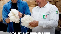 Coton, laine : la face cachée de nos matières naturelles