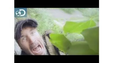 Course poursuite en forêt polonaise : Lone Target