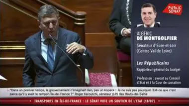 Crise du coronavirus : Le Sénat adopte le 3e budget d'urgence - Les matins du Sénat (20/07/2020)