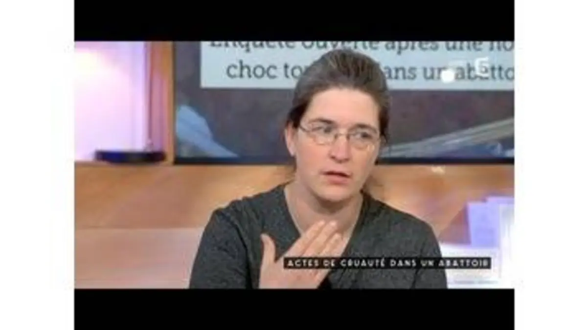 replay de Cruauté dasn un abattoir - C à vous - 23/02/2016