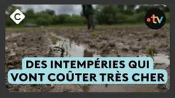 Crues : ces produits qui vont coûter plus cher - Le 5/5 de Lorrain Sénéchal
