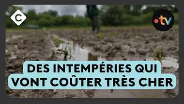 Crues : ces produits qui vont coûter plus cher - Le 5/5 de Lorrain Sénéchal