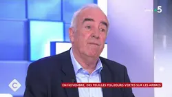 Crues, inondations : le Pas-de-Calais sous les eaux - C à Vous - 07/11/2023