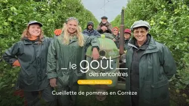 Cueillette de pommes en Corrèze