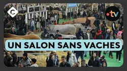 Dans les coulisses du salon de l’agriculture - La Story de Paul Larrouturou