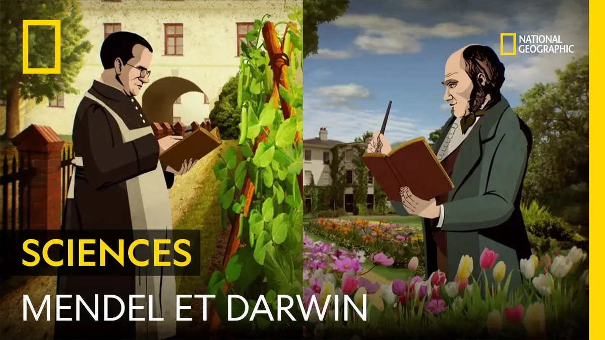 Darwin et Mendel, deux scientifiques qui ont…