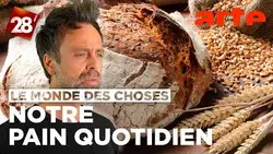 David Castello-Lopes s’intéresse au… pain | 28 minutes | ARTE