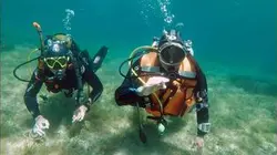 De Girolata à Bonifacio, les gardiens d'une nature sauvage