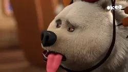 De la glace et des ours