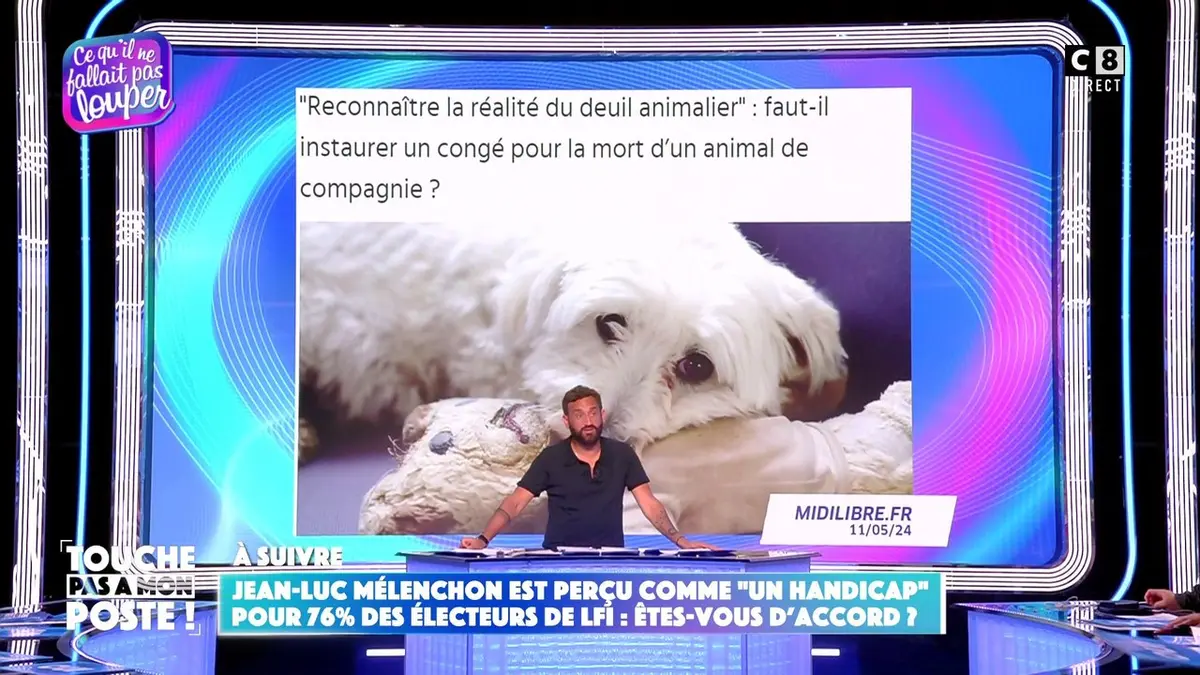 replay de De plus en plus de sociétés instaurent des jours de congés pour la mort d’un animal de compagnie