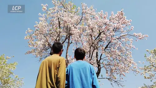 replay de DébatDoc - Iran : après la guerre, la répression ?