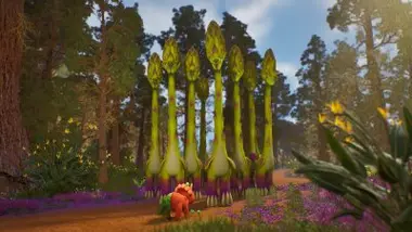 Des arbres très collants
