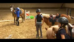 Au galop ! Des poneys