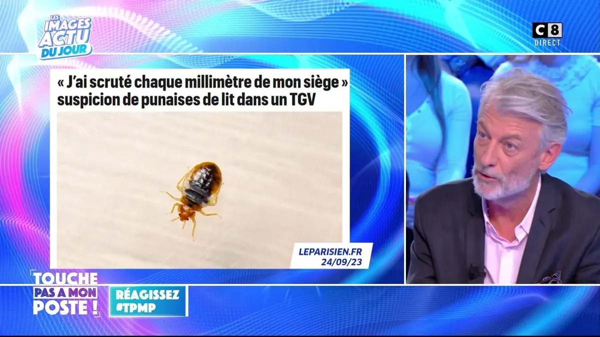 replay de Des punaises de lits repérées dans un TGV !