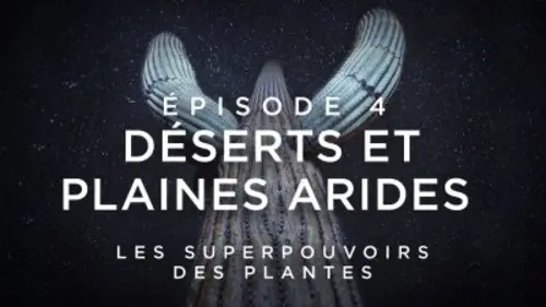 Les superpouvoirs des plantes Déserts et plaines arides