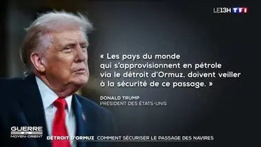 Détroit d'Ormuz : comment sécuriser le passage des navires