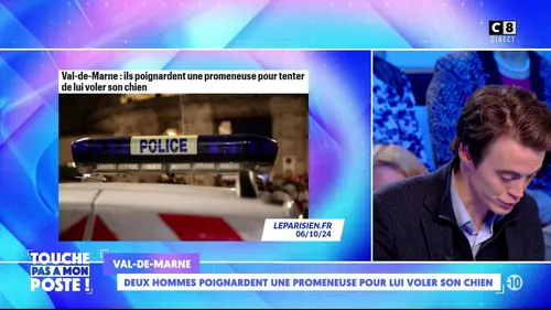 replay de Deux hommes poignardent une promeneuse pour lui voler son chien
