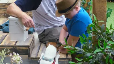 Dog house : un chien pour la vie : S2 E4 - Un pot de colle