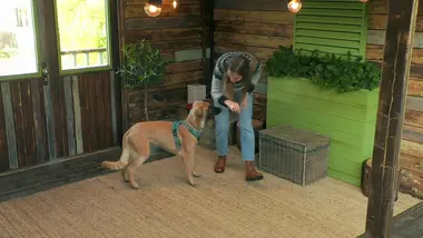 Dog house : un chien pour la vie : S3 E6 - On agrandit la famille