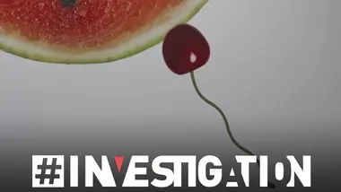 Don de sperme, des vies à la dérive