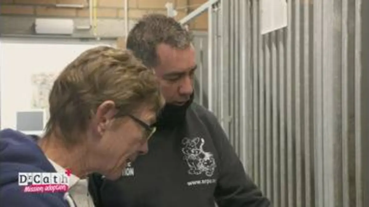 replay de Dr Cath - Mission adoption : S2 E3