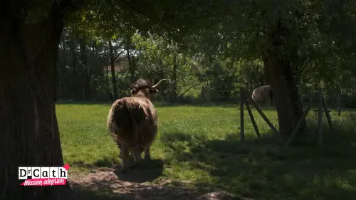 Dr Cath : Mission adoption S03E07