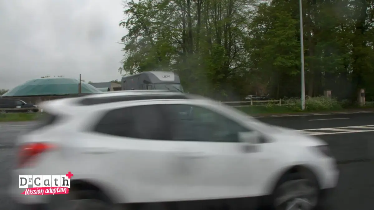 replay de Dr Cath - Mission adoption : S5 E1