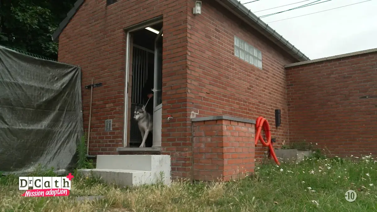 replay de Dr Cath - Mission adoption : S5 E6