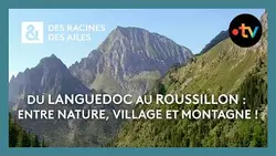 Du Languedoc au Roussillon : Entre nature, village et montagne ! - Des racines et des ailes