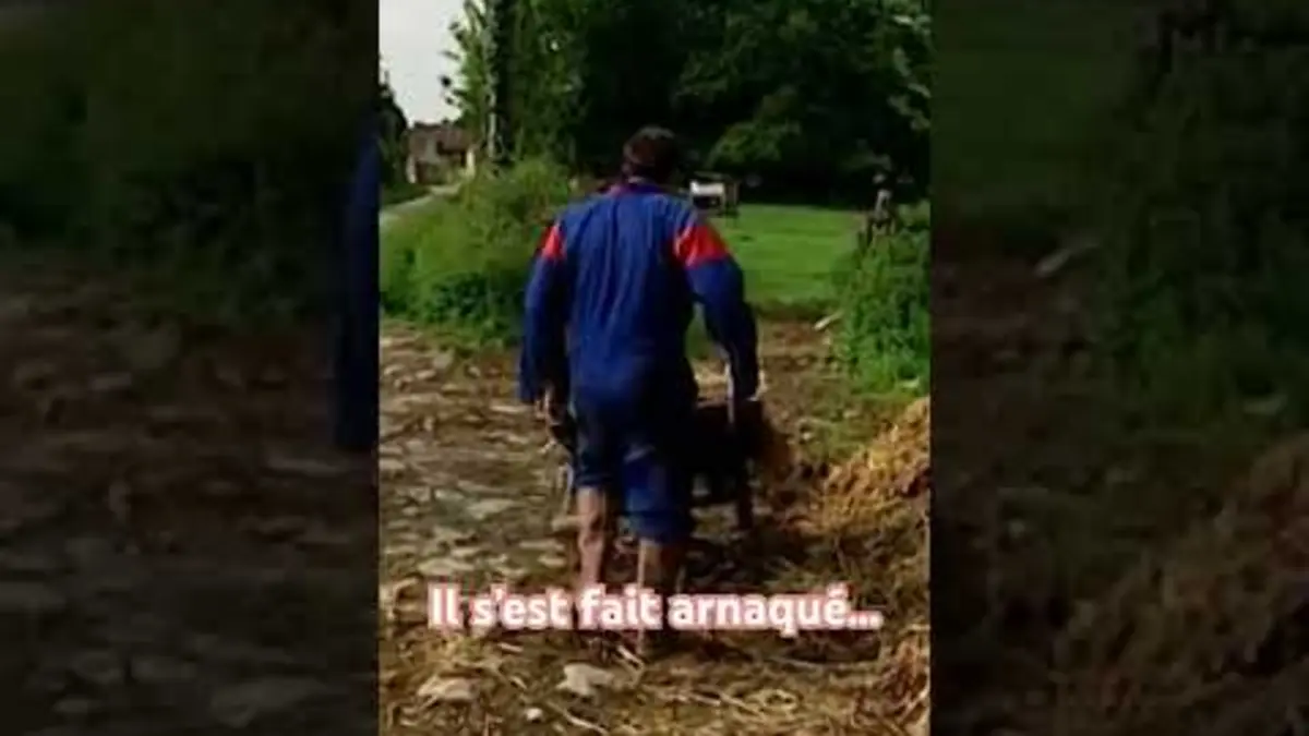 replay de Dur situation - Extrait Néness fait du foin #shorts #striptease