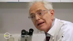 e=m6 : Bronzage, cheveux : une rentrée en beauté grâce à la science !