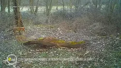 e=m6 : Égouts, terriers, la science explore notre sous-sol !