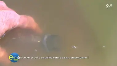E=M6 Family : Manger boire s'orienter ou faire du feu : comment survivre en pleine nature ?
