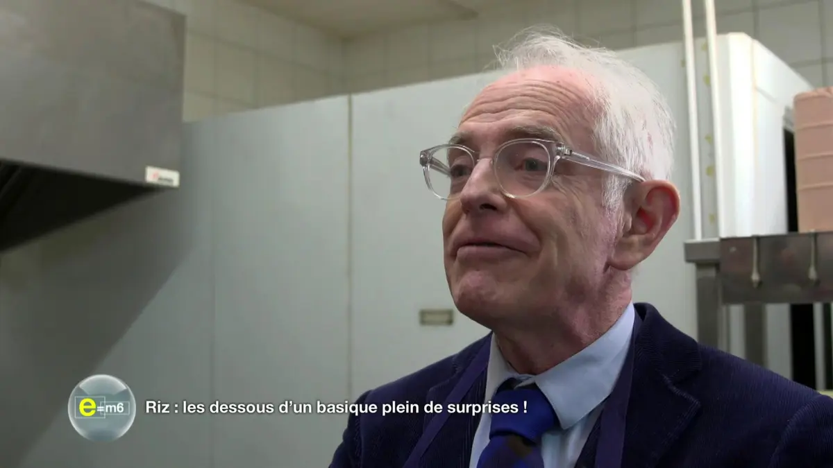 replay de e=m6 : Riz, conserves, beurre : 3 indispensables de notre cuisine sous le microscope !