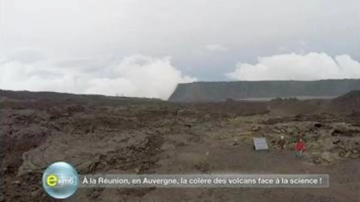 replay de E=M6 : Spéciale spectacles de la nature