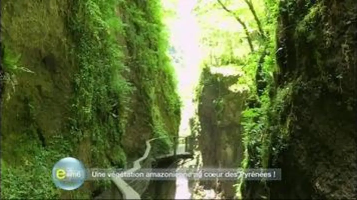 replay de E=M6 : Un climat tropical en France !