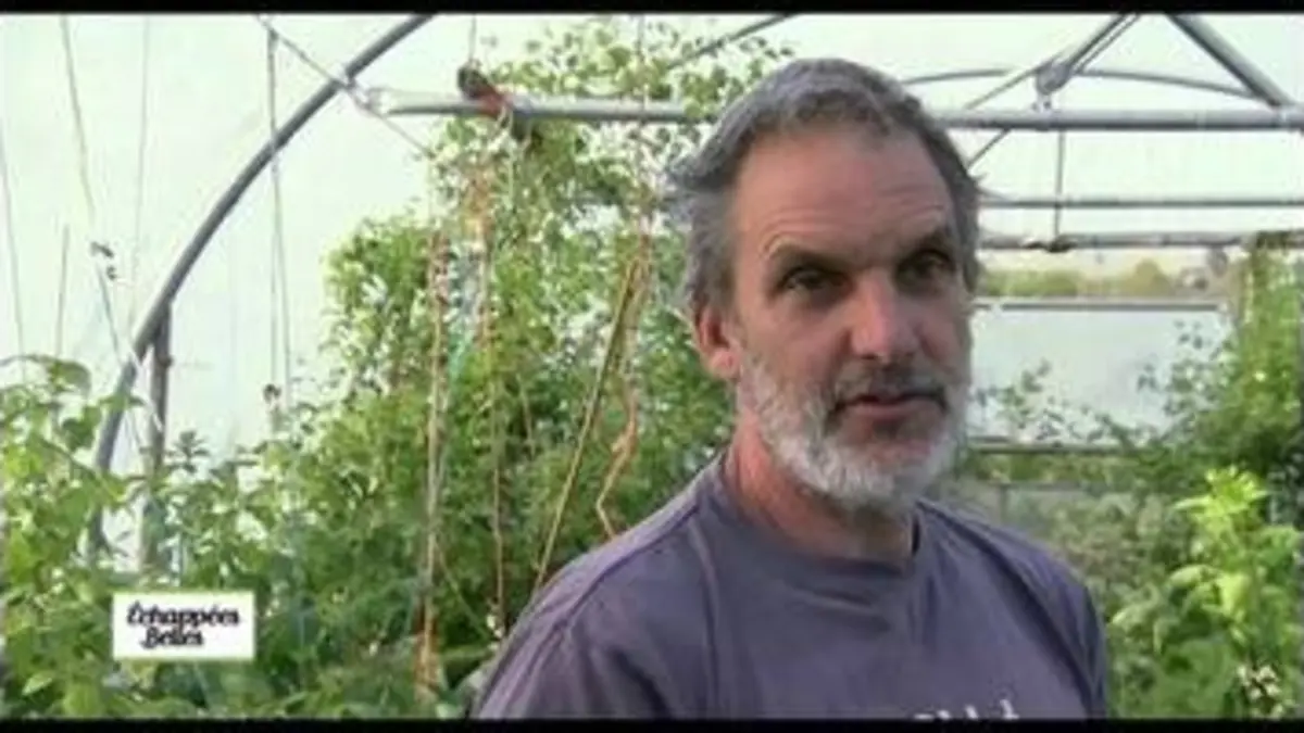 replay de Ecosse - Echappées belles