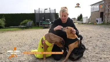 Elle a créé un refuge dédié aux animaux handicapés