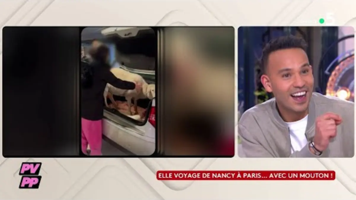 replay de Elle voyage de Nancy à Paris… avec un mouton ! - C à vous