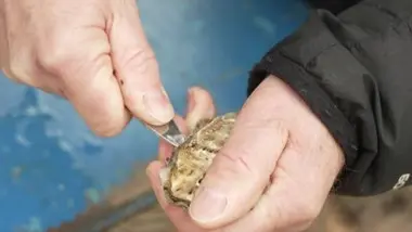 Émission du lundi 15 décembre 2025