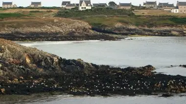 Émission du lundi 9 mars 2026