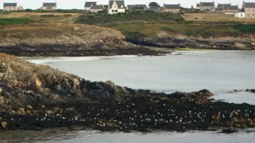 Invitation au voyage