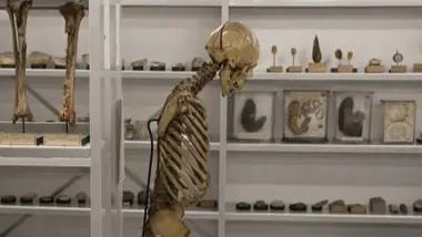 Émission du mardi 10 mars 2026