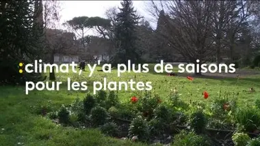 Émission du mardi 11 février 2020