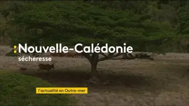 Émission du mardi 15 octobre 2019