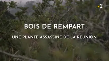Émission du mercredi 08 février 2023