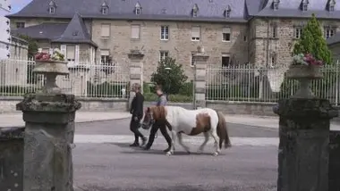 Émission du mercredi 29 juillet 2026